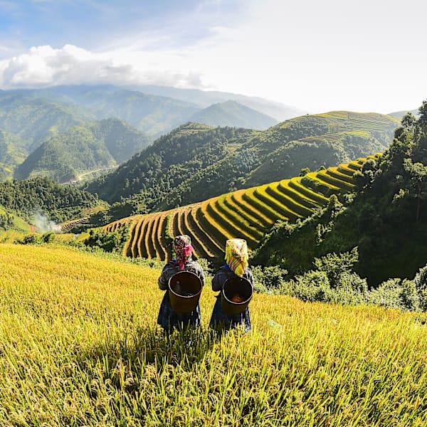 2 for 1 Vietnam: Im Norden mit Local Living in Sapa