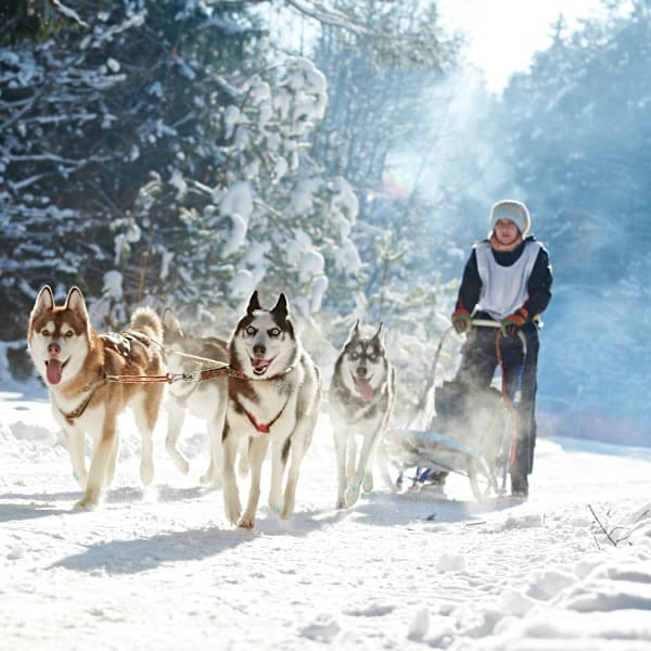 Explore Norwegen: Arctic Roadtrip zum Nordkap
