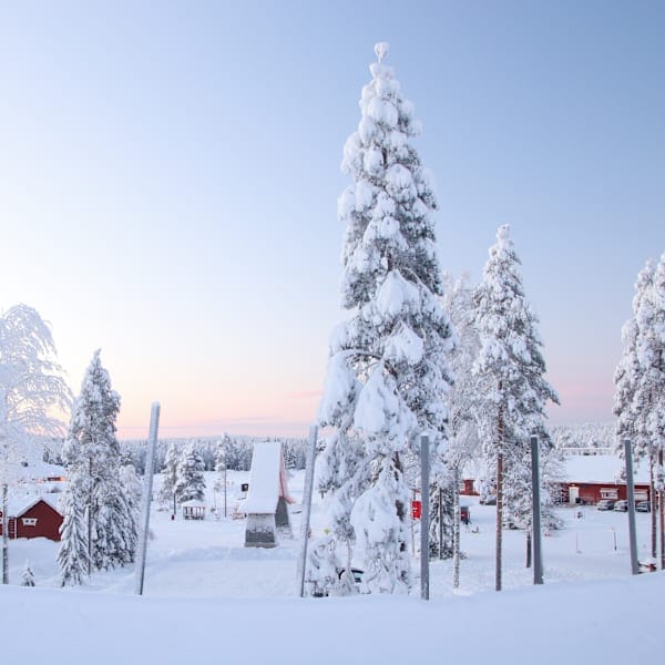 Norwegen & Finnland: Arctic Route nach Rovaniemi