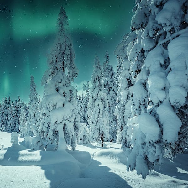 Scandic Nights: Zum Nordlichtzauber im Glasiglu