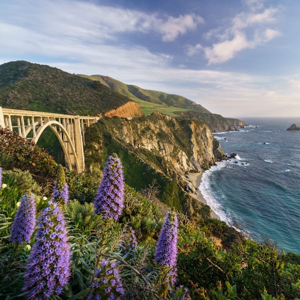 Explore California: Road trip dreams and national wonders