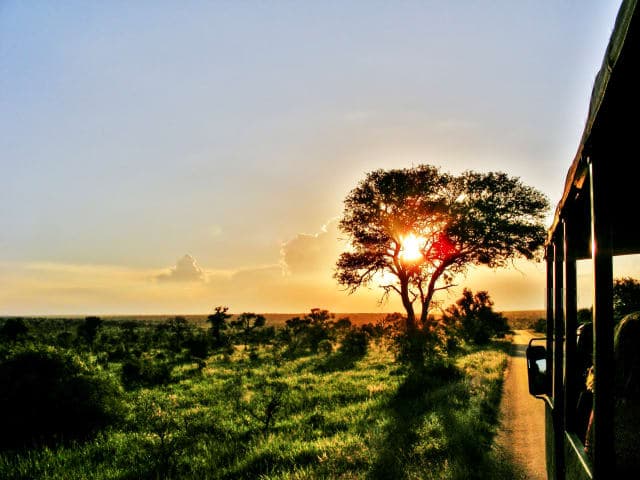 Sunset-Safari mit Dinner im privaten Game Reserve thumbnail
